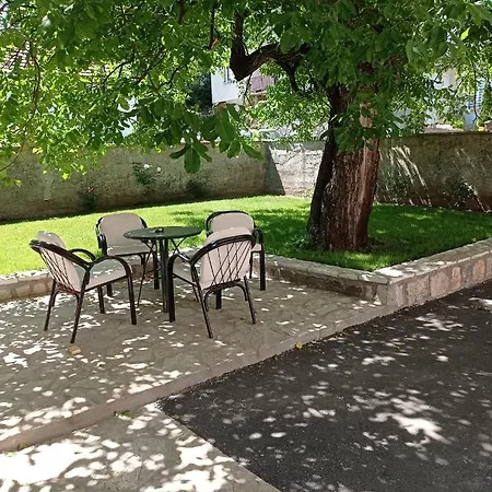 Aleksandar Nevesinje