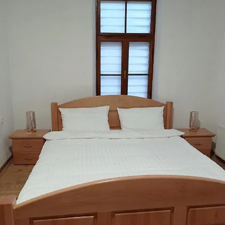 Aleksandar Nevesinje